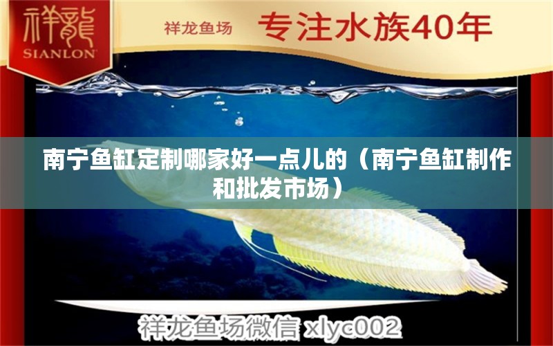 南寧魚(yú)缸定制哪家好一點(diǎn)兒的（南寧魚(yú)缸制作和批發(fā)市場(chǎng)） 廣州觀賞魚(yú)批發(fā)市場(chǎng)