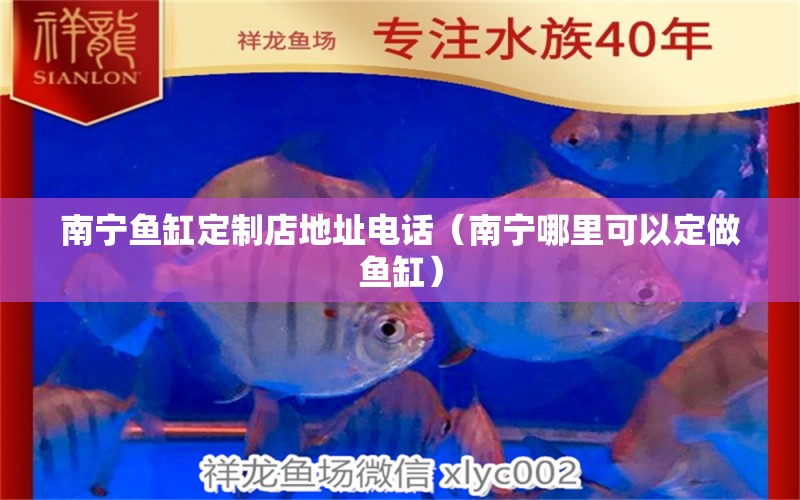 南寧魚缸定制店地址電話（南寧哪里可以定做魚缸） 白子黑帝王魟魚