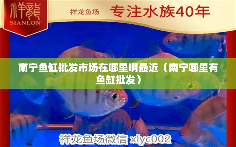 南寧魚缸批發(fā)市場在哪里啊最近（南寧哪里有魚缸批發(fā)）