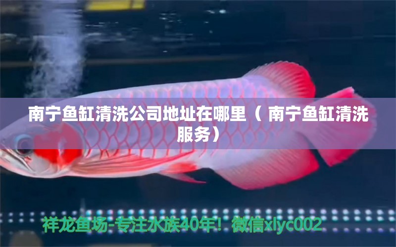 南寧魚缸清洗公司地址在哪里（ 南寧魚缸清洗服務(wù)） 其它水族用具設(shè)備