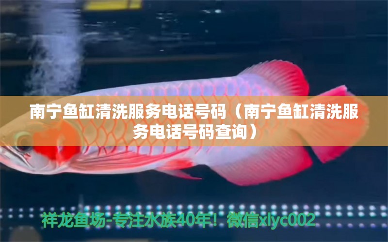 南寧魚缸清洗服務(wù)電話號碼（南寧魚缸清洗服務(wù)電話號碼查詢）