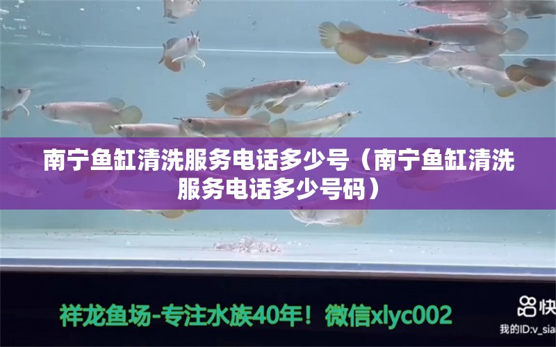 南寧魚(yú)缸清洗服務(wù)電話(huà)多少號(hào)（南寧魚(yú)缸清洗服務(wù)電話(huà)多少號(hào)碼） 觀賞魚(yú)市場(chǎng)（混養(yǎng)魚(yú)）