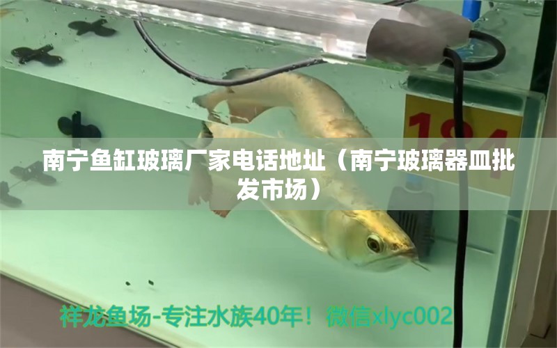 南寧魚缸玻璃廠家電話地址（南寧玻璃器皿批發(fā)市場）