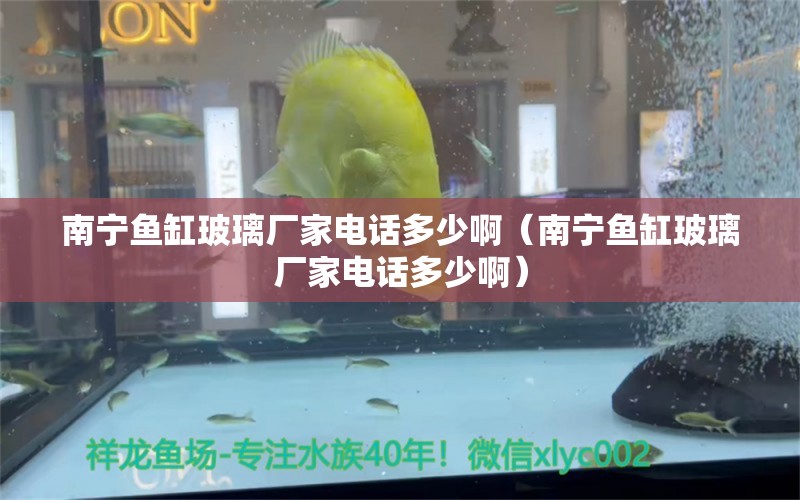 南寧魚缸玻璃廠家電話多少?。蠈庺~缸玻璃廠家電話多少?。? title=