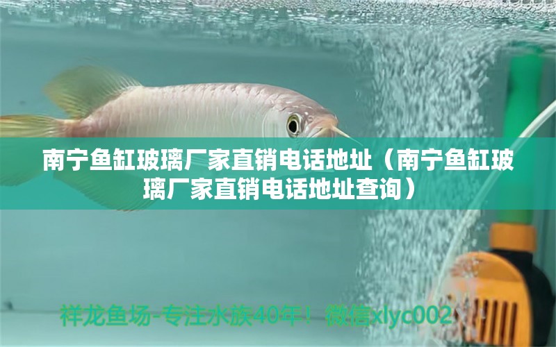 南寧魚缸玻璃廠家直銷電話地址（南寧魚缸玻璃廠家直銷電話地址查詢） 量子養(yǎng)魚技術(shù)