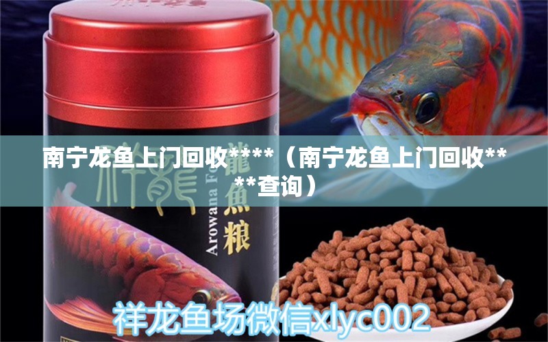 南寧龍魚上門回收****（南寧龍魚上門回收****查詢） 祥龍水族醫(yī)院