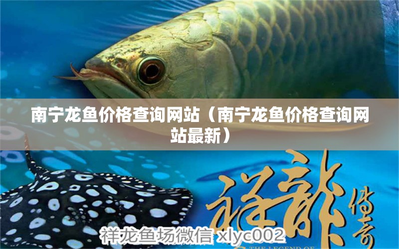 南寧龍魚價(jià)格查詢網(wǎng)站（南寧龍魚價(jià)格查詢網(wǎng)站最新） 觀賞魚水族批發(fā)市場(chǎng)