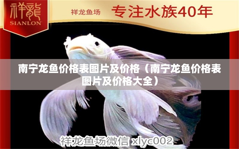 南寧龍魚價格表圖片及價格（南寧龍魚價格表圖片及價格大全）