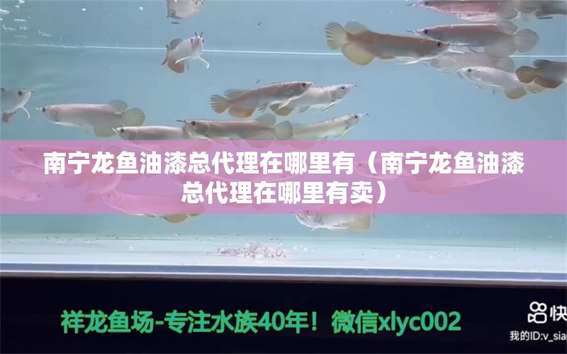 南寧龍魚油漆總代理在哪里有（南寧龍魚油漆總代理在哪里有賣）