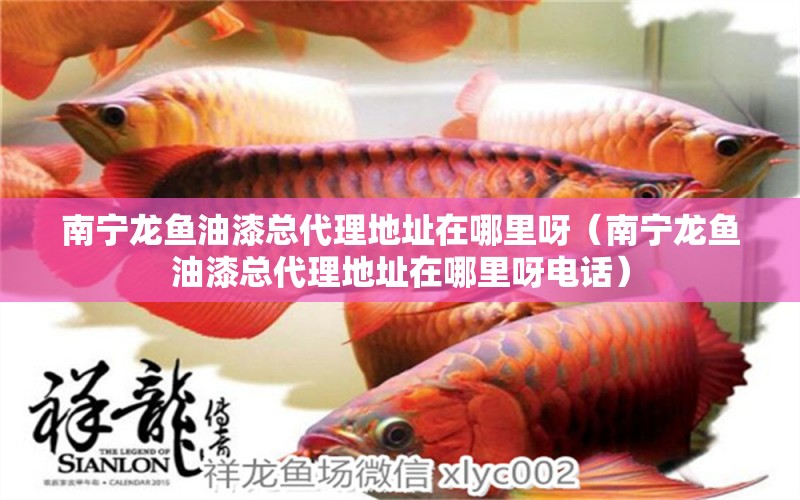 南寧龍魚油漆總代理地址在哪里呀（南寧龍魚油漆總代理地址在哪里呀電話）