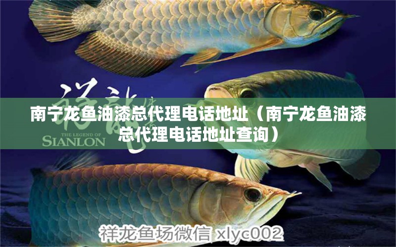 南寧龍魚油漆總代理電話地址（南寧龍魚油漆總代理電話地址查詢）