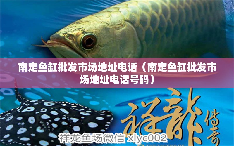 南定魚缸批發(fā)市場地址電話（南定魚缸批發(fā)市場地址電話號碼） 七彩神仙魚