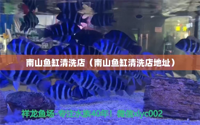 南山魚缸清洗店（南山魚缸清洗店地址）