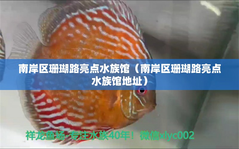 南岸區(qū)珊瑚路亮點(diǎn)水族館（南岸區(qū)珊瑚路亮點(diǎn)水族館地址）