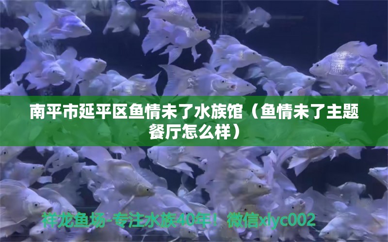 南平市延平區(qū)魚情未了水族館（魚情未了主題餐廳怎么樣）