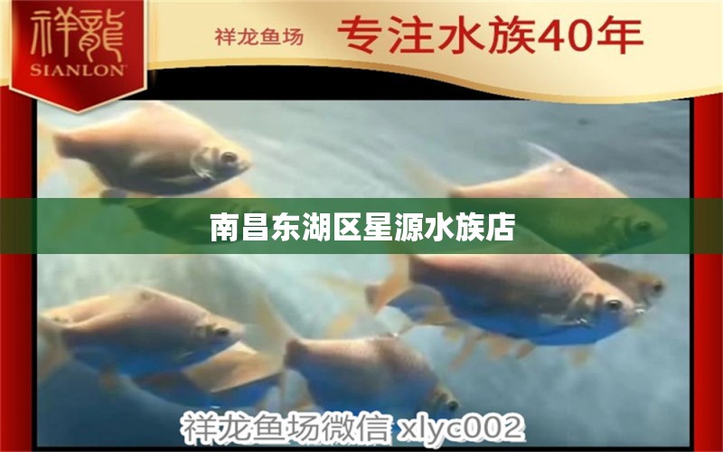 南昌東湖區(qū)星源水族店 全國水族館企業(yè)名錄