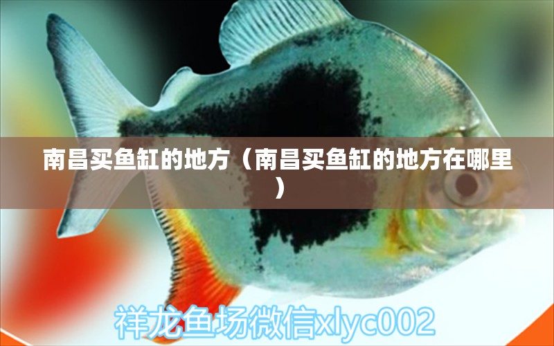 南昌買(mǎi)魚(yú)缸的地方（南昌買(mǎi)魚(yú)缸的地方在哪里）