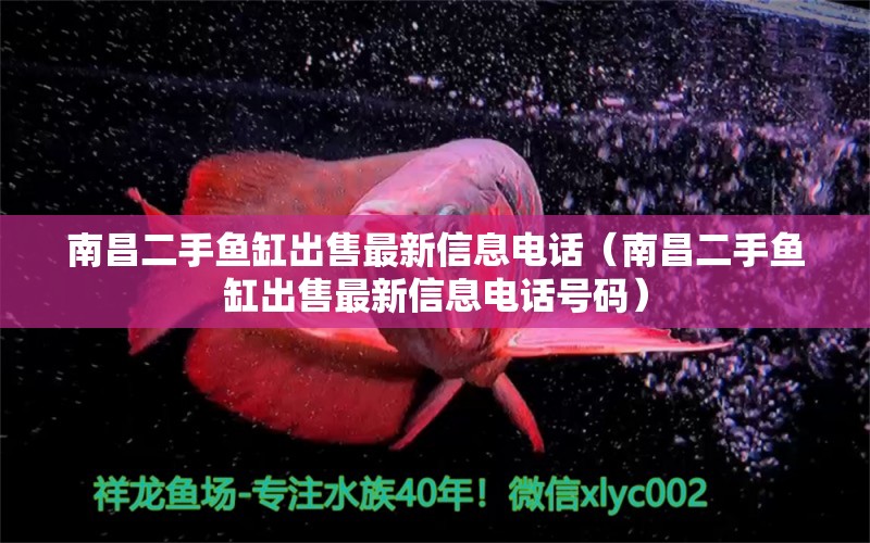 南昌二手魚缸出售最新信息電話（南昌二手魚缸出售最新信息電話號碼） 祥龍水族醫(yī)院