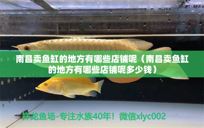 南昌賣魚缸的地方有哪些店鋪呢（南昌賣魚缸的地方有哪些店鋪呢多少錢）