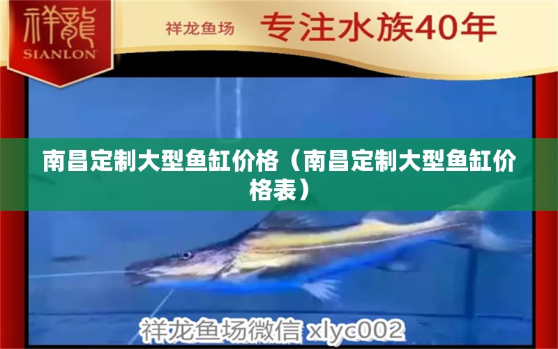 南昌定制大型魚缸價格（南昌定制大型魚缸價格表） 祥龍水族醫(yī)院