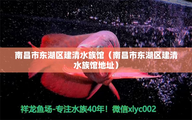 南昌市東湖區(qū)建清水族館（南昌市東湖區(qū)建清水族館地址） 全國(guó)水族館企業(yè)名錄