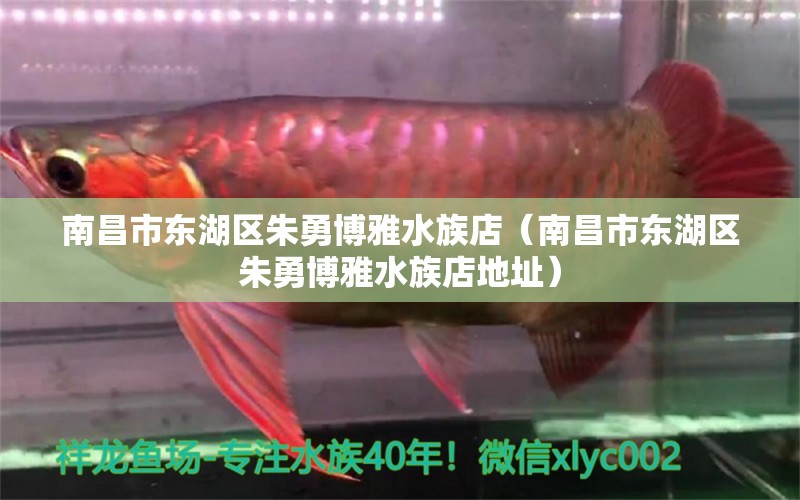 南昌市東湖區(qū)朱勇博雅水族店（南昌市東湖區(qū)朱勇博雅水族店地址） 全國水族館企業(yè)名錄