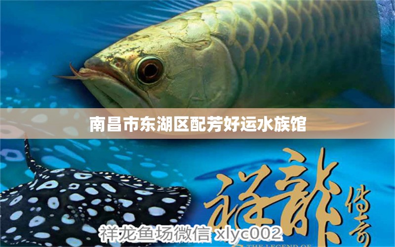 南昌市東湖區(qū)配芳好運水族館 全國水族館企業(yè)名錄