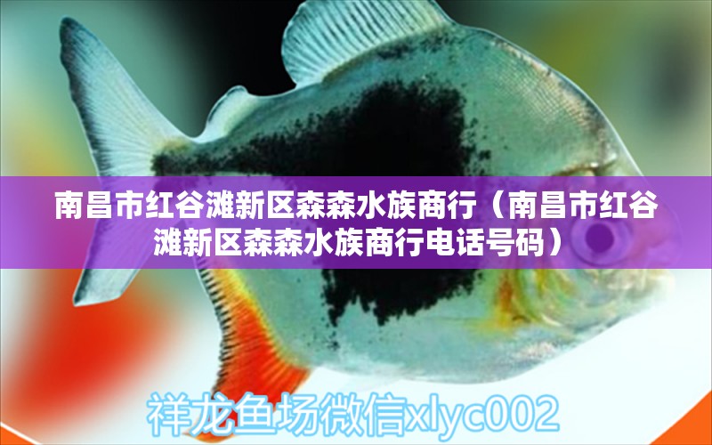 南昌市紅谷灘新區(qū)森森水族商行（南昌市紅谷灘新區(qū)森森水族商行電話號(hào)碼） 全國(guó)水族館企業(yè)名錄