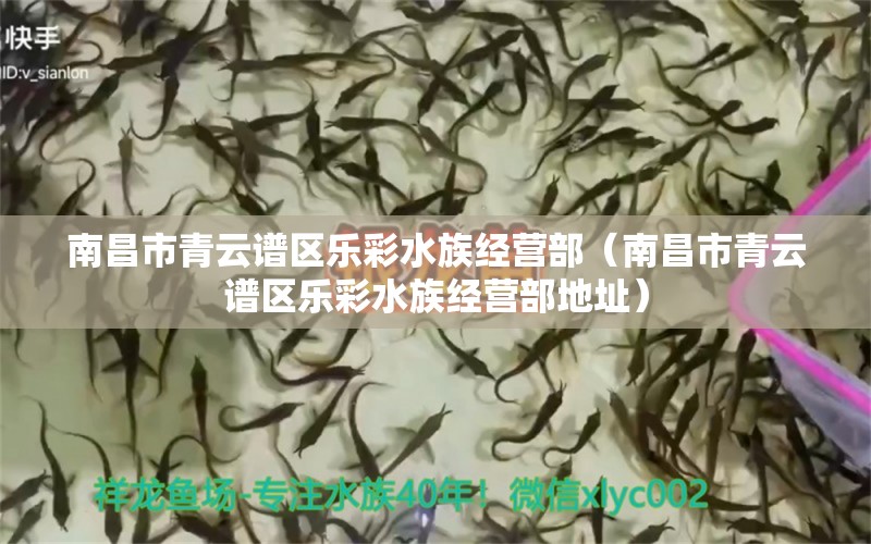 南昌市青云譜區(qū)樂(lè)彩水族經(jīng)營(yíng)部（南昌市青云譜區(qū)樂(lè)彩水族經(jīng)營(yíng)部地址） 全國(guó)水族館企業(yè)名錄