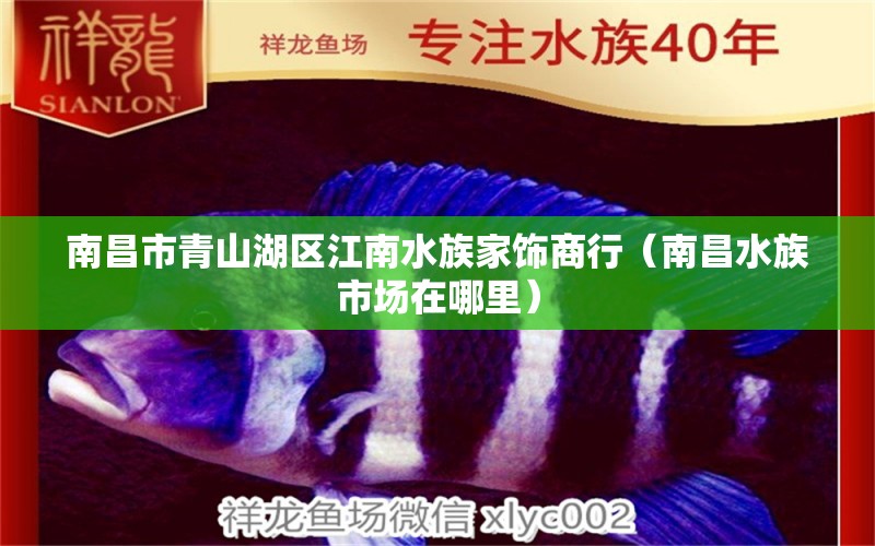 南昌市青山湖區(qū)江南水族家飾商行（南昌水族市場(chǎng)在哪里）