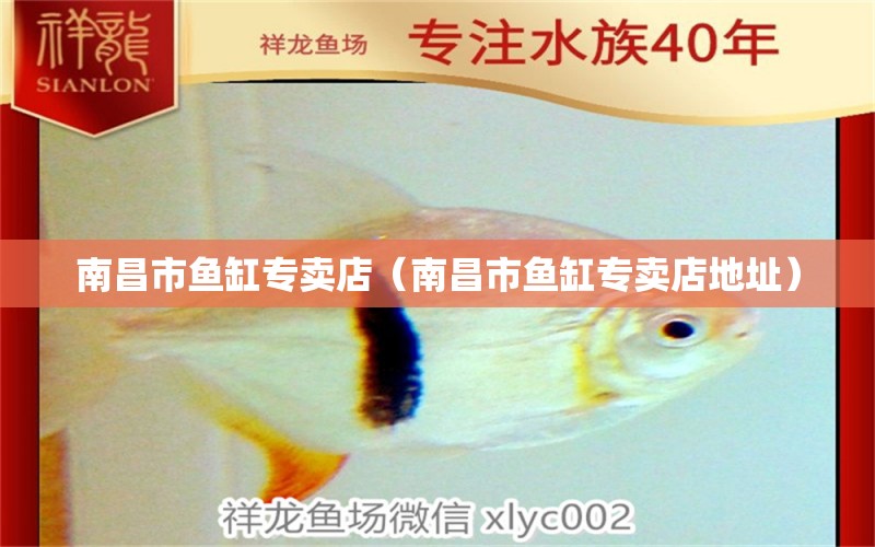 南昌市魚缸專賣店（南昌市魚缸專賣店地址） 其他品牌魚缸