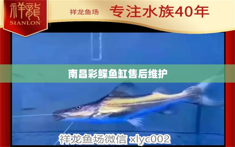 南昌彩鰈魚缸售后維護(hù)