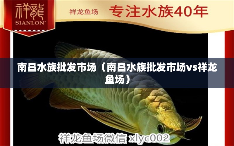 南昌水族批發(fā)市場(chǎng)（南昌水族批發(fā)市場(chǎng)vs祥龍魚場(chǎng)） 觀賞魚水族批發(fā)市場(chǎng)