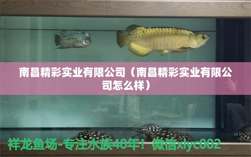 南昌精彩實(shí)業(yè)有限公司（南昌精彩實(shí)業(yè)有限公司怎么樣）