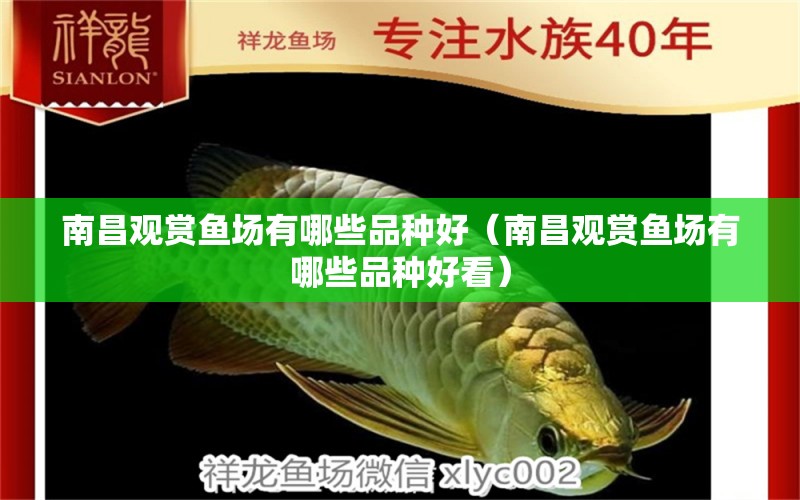 南昌觀賞魚場有哪些品種好（南昌觀賞魚場有哪些品種好看）