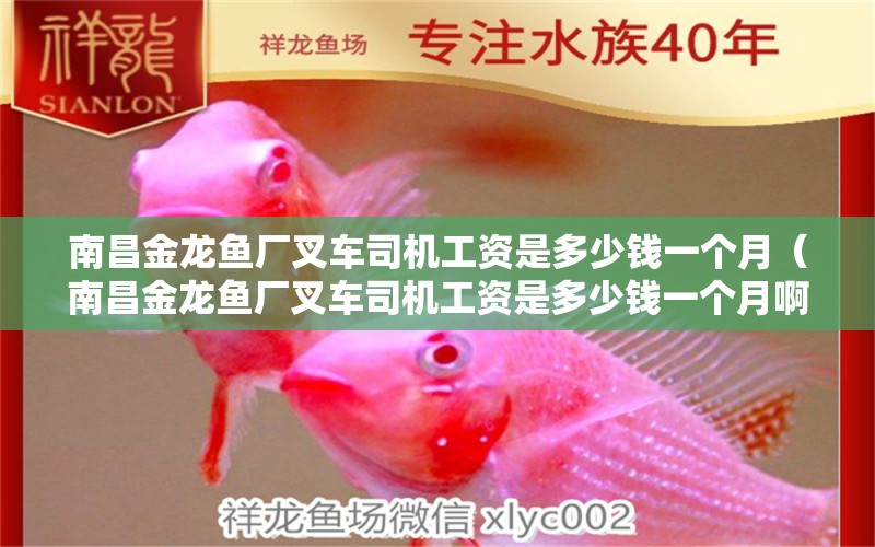 南昌金龍魚廠叉車司機(jī)工資是多少錢一個(gè)月（南昌金龍魚廠叉車司機(jī)工資是多少錢一個(gè)月?。? title=