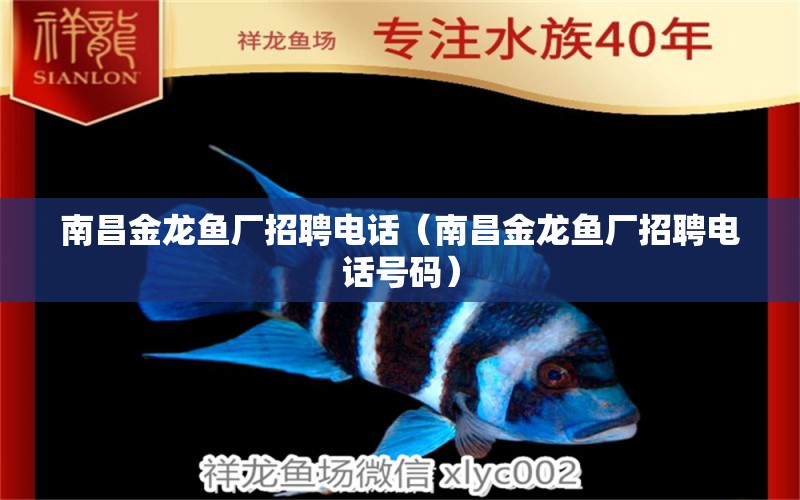 南昌金龍魚廠招聘電話（南昌金龍魚廠招聘電話號(hào)碼）