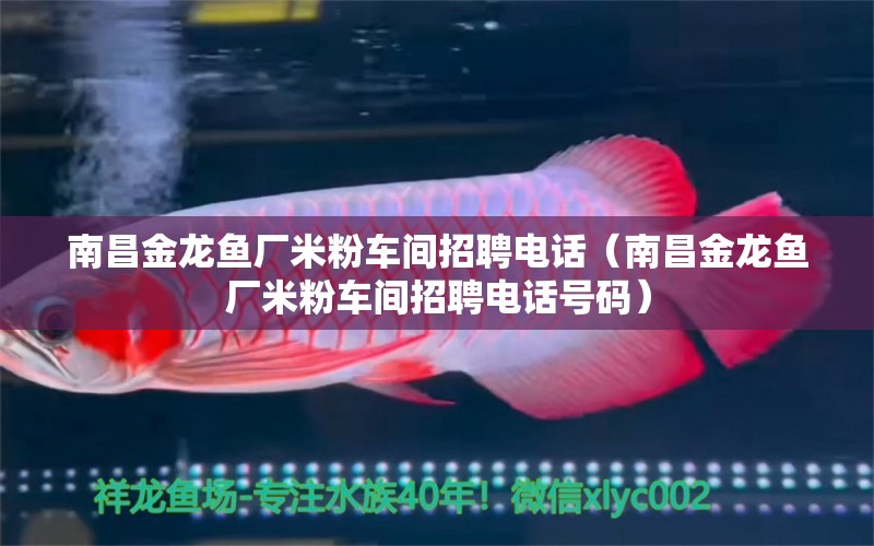 南昌金龍魚廠米粉車間招聘電話（南昌金龍魚廠米粉車間招聘電話號(hào)碼）