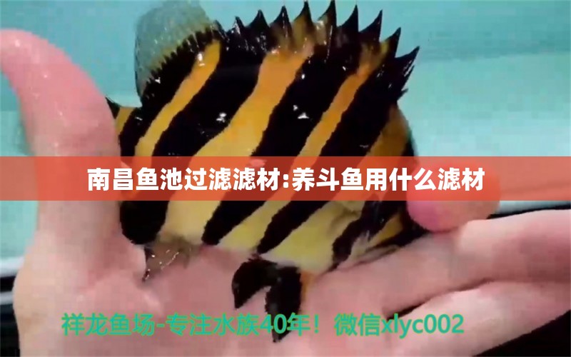 南昌魚池過濾濾材:養(yǎng)斗魚用什么濾材 廣州水族器材濾材批發(fā)市場