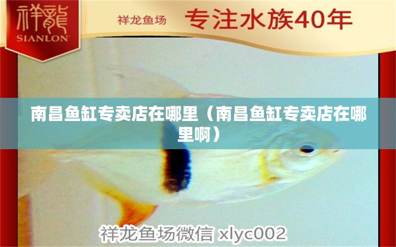 南昌魚缸專賣店在哪里（南昌魚缸專賣店在哪里?。?巴西亞魚