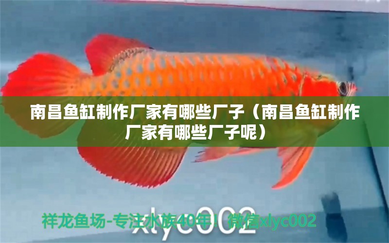 南昌魚缸制作廠家有哪些廠子（南昌魚缸制作廠家有哪些廠子呢）