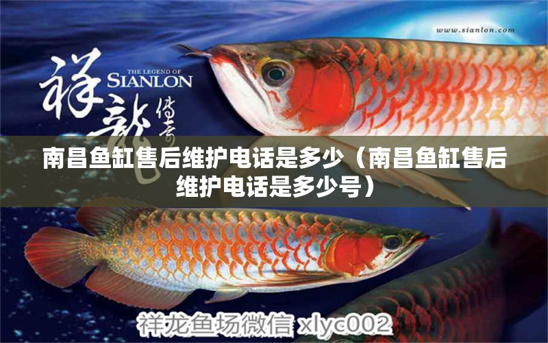 南昌魚(yú)缸售后維護(hù)電話(huà)是多少（南昌魚(yú)缸售后維護(hù)電話(huà)是多少號(hào)）