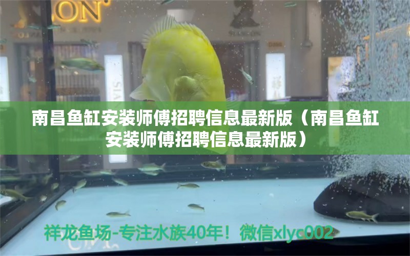 南昌魚缸安裝師傅招聘信息最新版（南昌魚缸安裝師傅招聘信息最新版） 龍鳳鯉魚