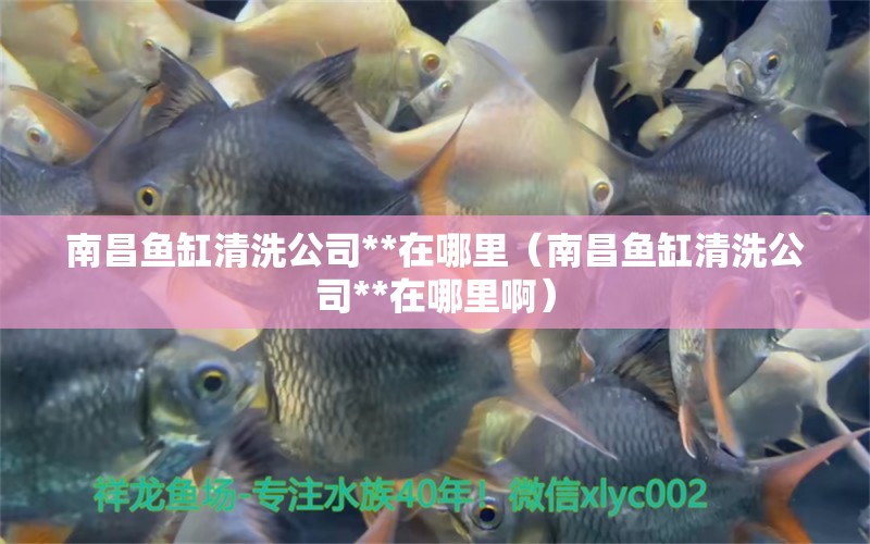 南昌魚缸清洗公司**在哪里（南昌魚缸清洗公司**在哪里?。?祥龍水族醫(yī)院