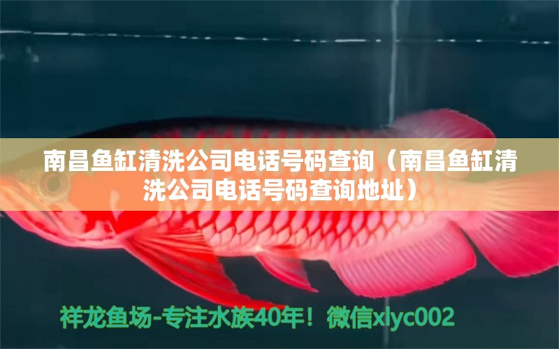 南昌魚缸清洗公司電話號(hào)碼查詢（南昌魚缸清洗公司電話號(hào)碼查詢地址）