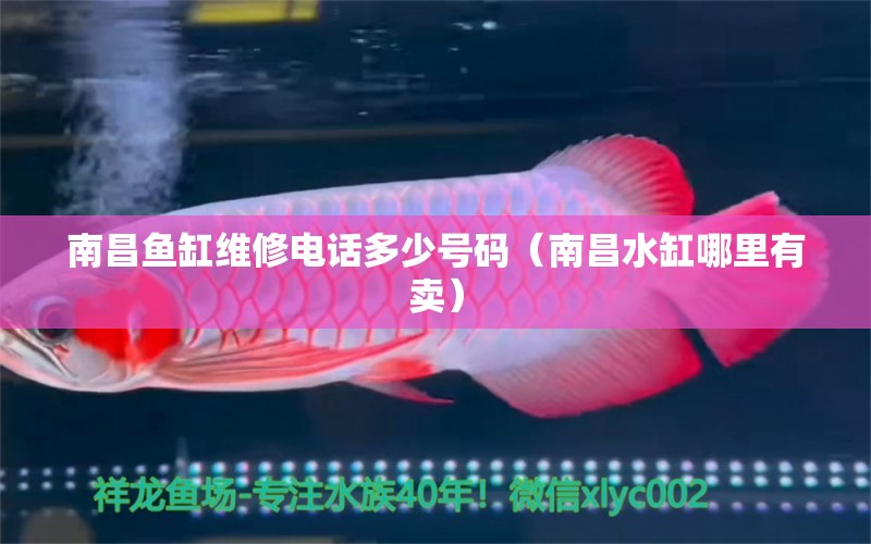 南昌魚缸維修電話多少號(hào)碼（南昌水缸哪里有賣） 九鼎魚缸