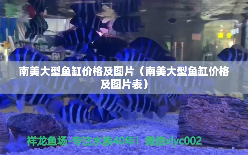 南美大型魚缸價(jià)格及圖片（南美大型魚缸價(jià)格及圖片表）