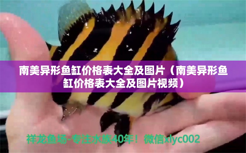 南美異形魚缸價格表大全及圖片（南美異形魚缸價格表大全及圖片視頻）