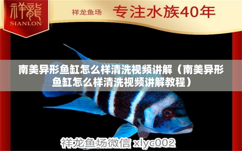 南美異形魚缸怎么樣清洗視頻講解（南美異形魚缸怎么樣清洗視頻講解教程） 水族品牌