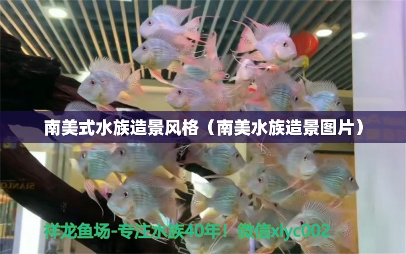 南美式水族造景風(fēng)格（南美水族造景圖片）